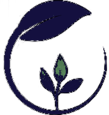 SAAM emblem mark in navy, for use on light backgrounds