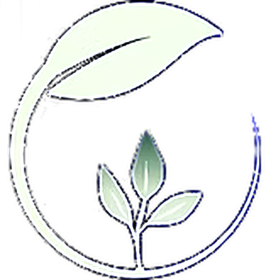 SAAM — Scottish Adult Adoptee Movement logo